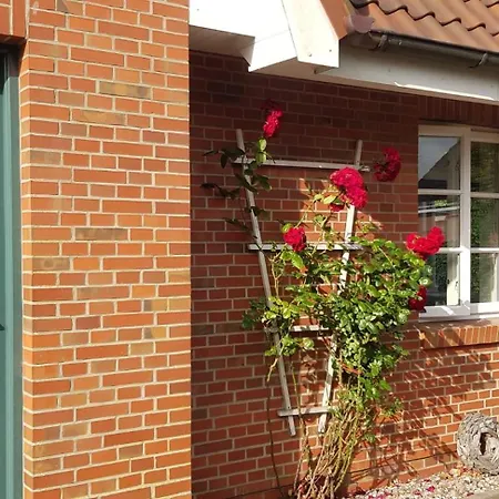Hanneke Apartamento